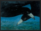 rooks2