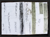 text-development