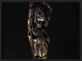Diver-detail_1